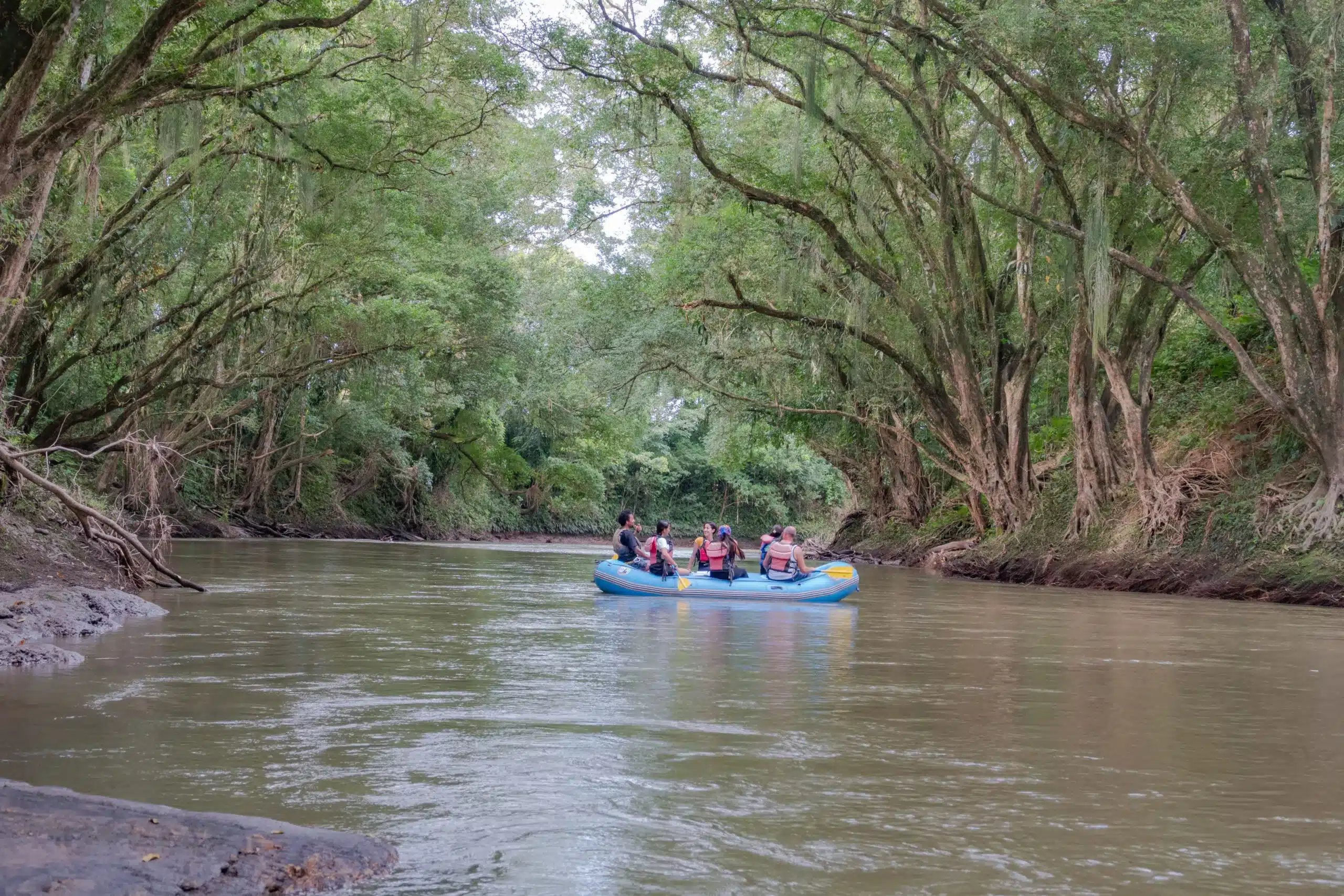 Peñas Blancas River rainforest